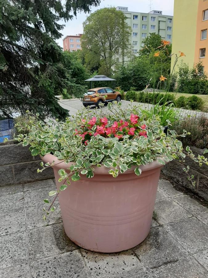 Zluty Apartman A6 V Chomutove Apartman Kültér fotó